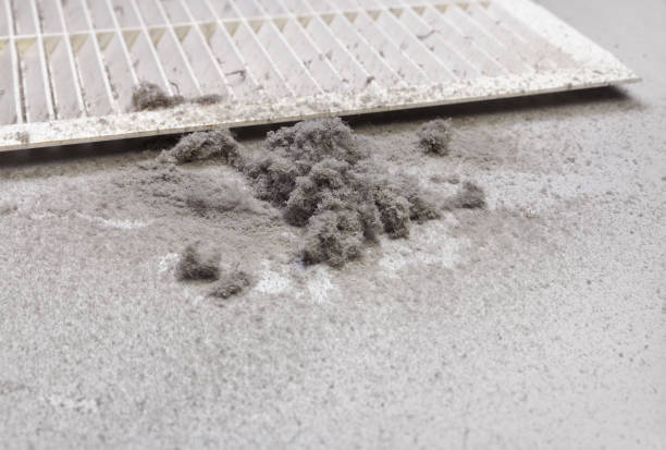 Best Air Vent Cleaning Services  in Rochester, IL
