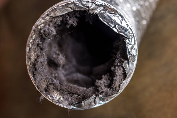 Best HVAC Air Duct Cleaning  in Rochester, IL